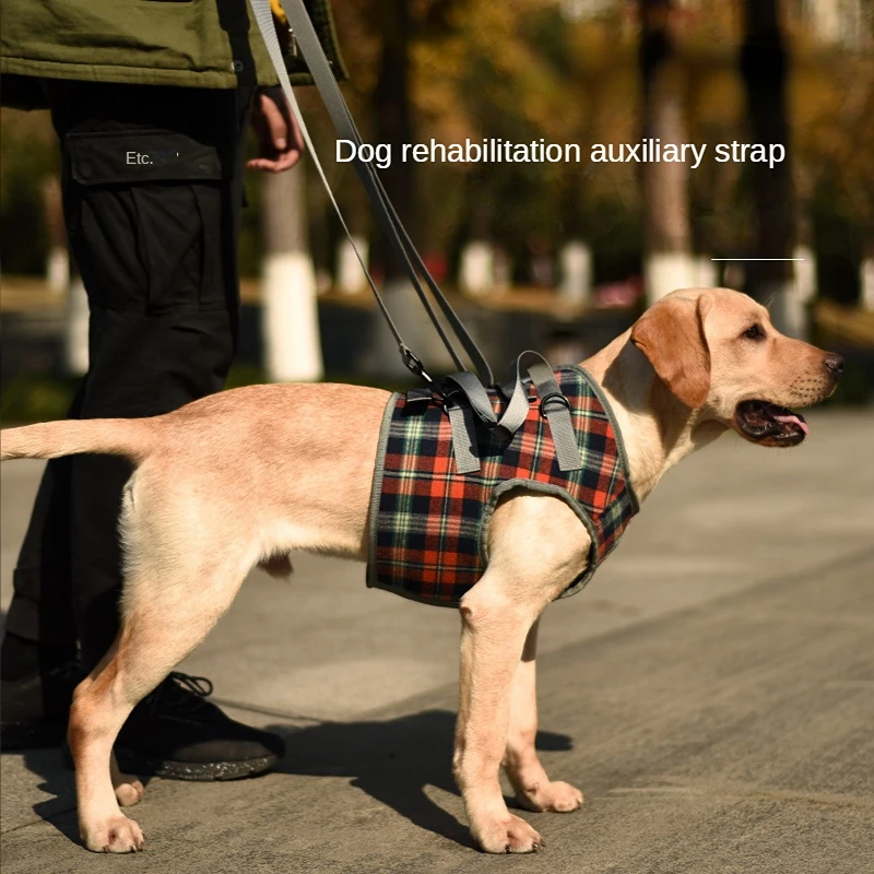 Adjustable Dog Support Harness for Front and Rear Legs Lifting