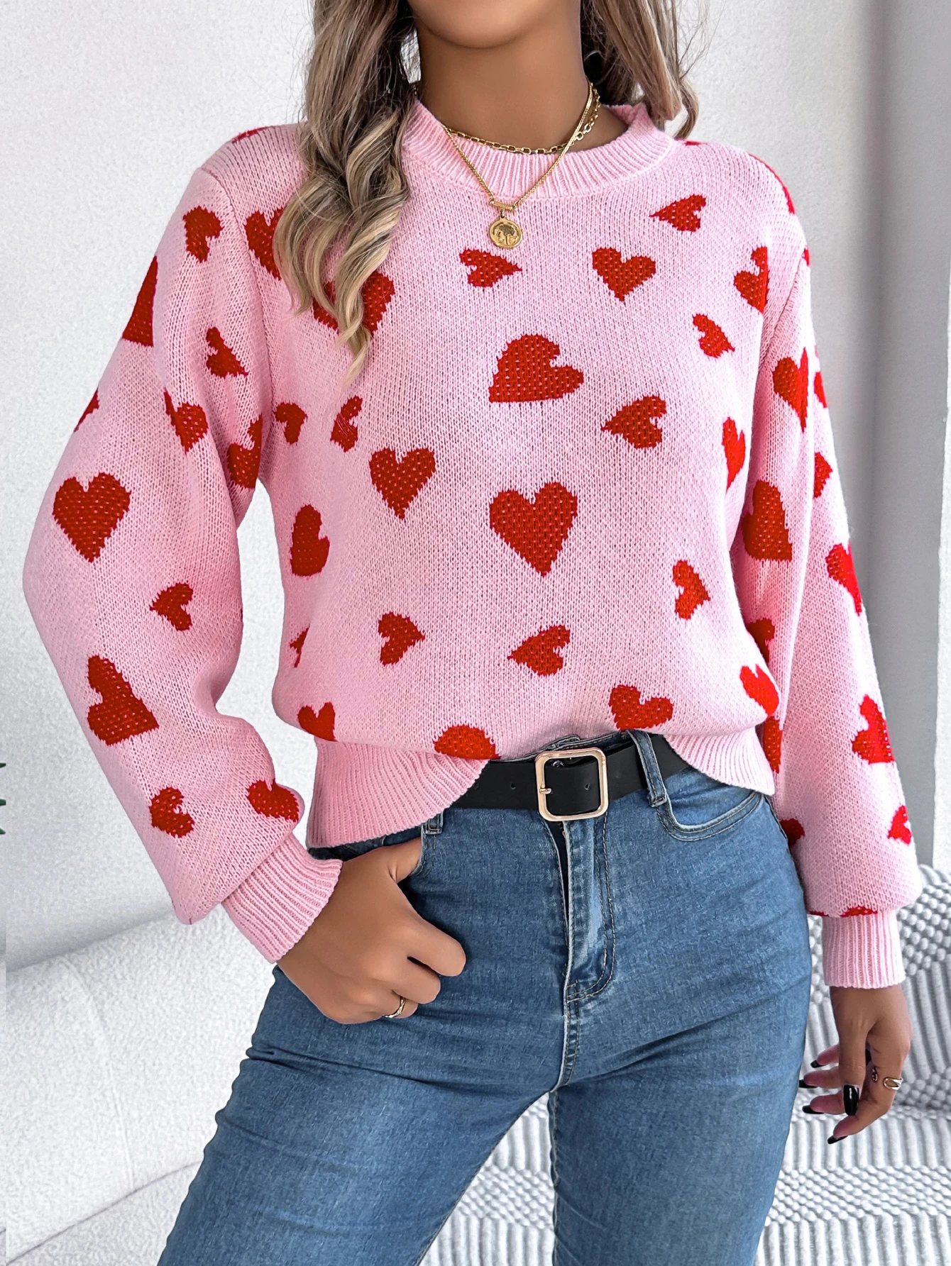 Autumn Winter Long Sleeved Pullover Sweater for Women