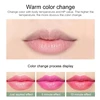 12pc/SET 3.5g Color Changing Tinted Lip Balm Lipstick Aloe Vera Lipstick Moisturizing Long Lasting Lipsticks lip balm wholesale 6