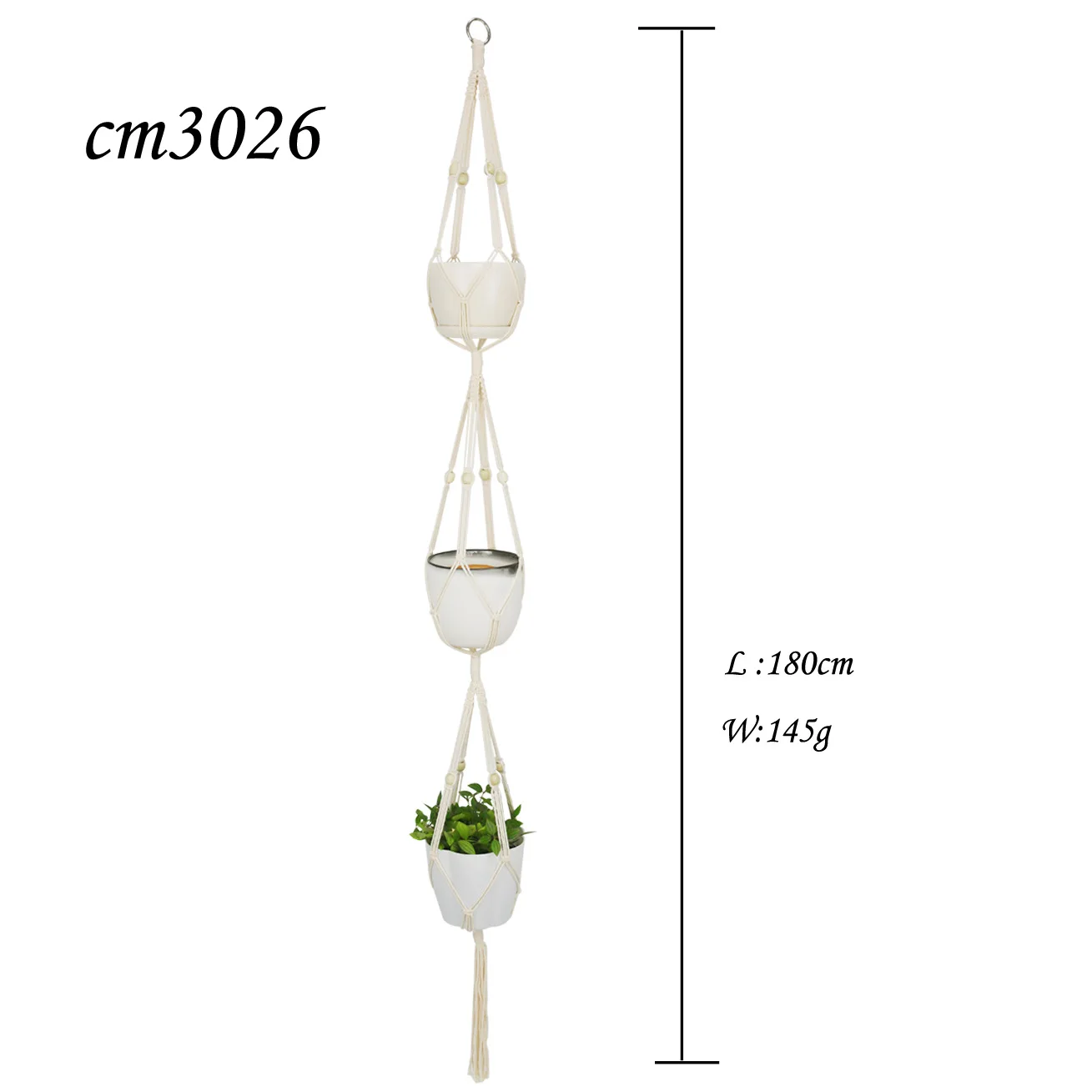LIcm3026