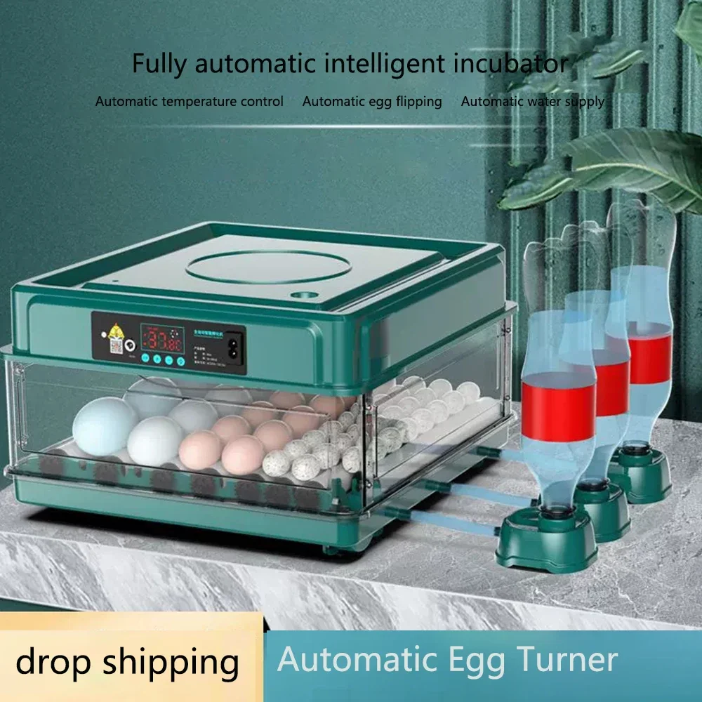 

9/15 Eggs Incubator With Drawer Type Mini Egg Incubator With Automatic Water Ionic Waterbed Replenishment And Temperature Contro