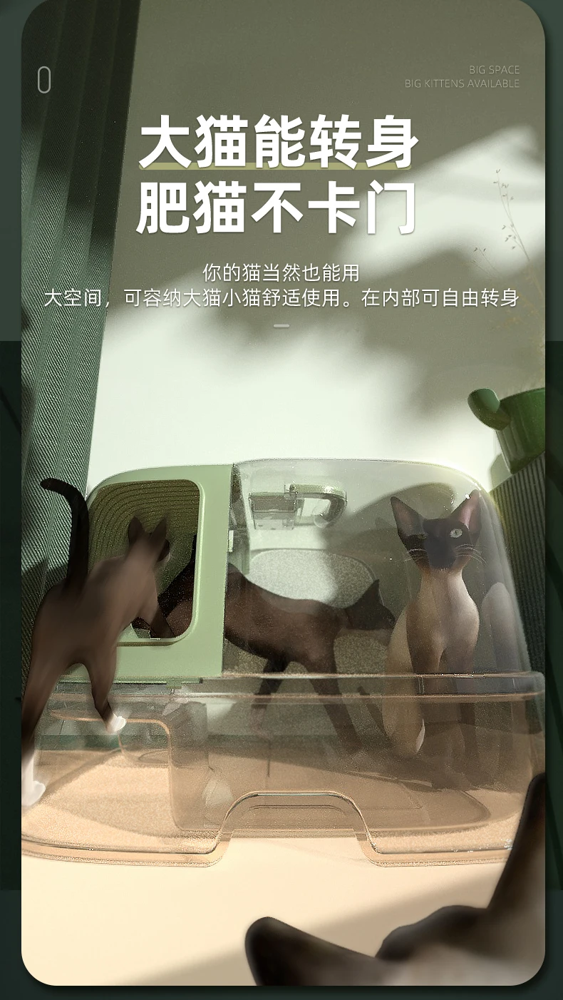 S326ff4c0a68741ad8c2711f1df02aa29e.jpg?width=790&height=1402&hash=2192