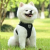 Pet Harness Leash Set Reflective Hiking Puppy Mesh Vest With D-Ring For Small Dogs Cats Breathable Outdoor Walking Accessories 5