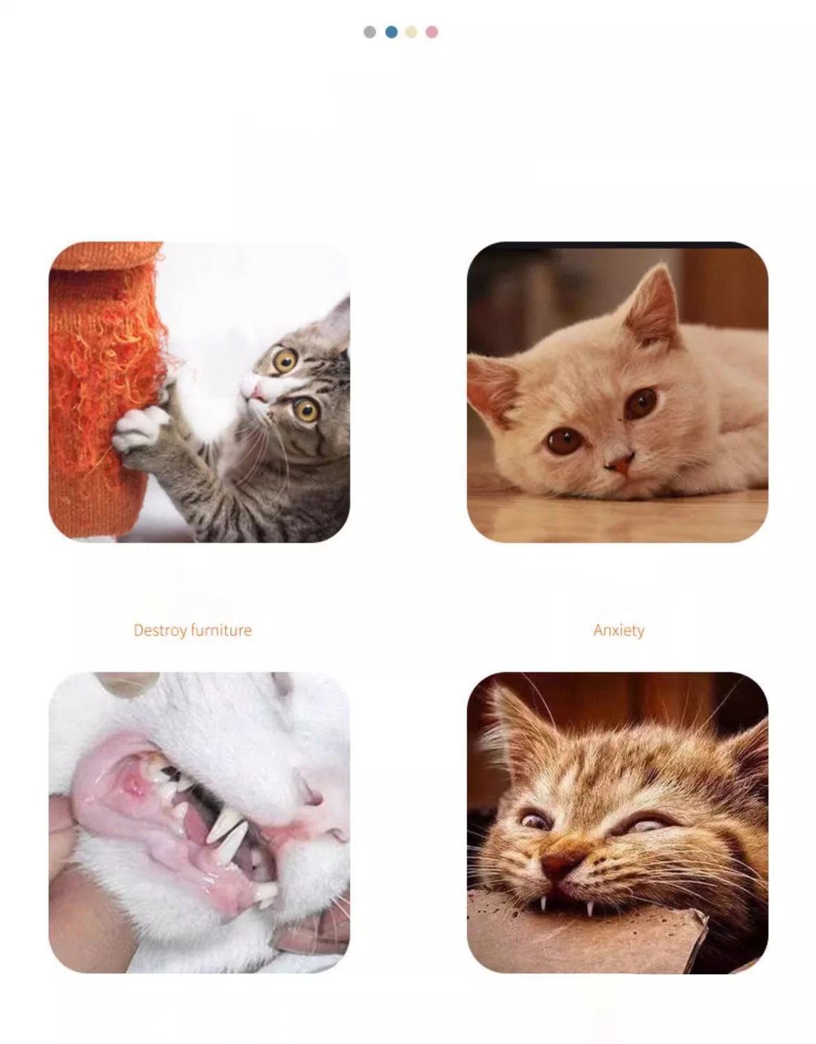 Interactive Cat Carrot Teething Stick With Sound And Scratch Pad_voghion.com