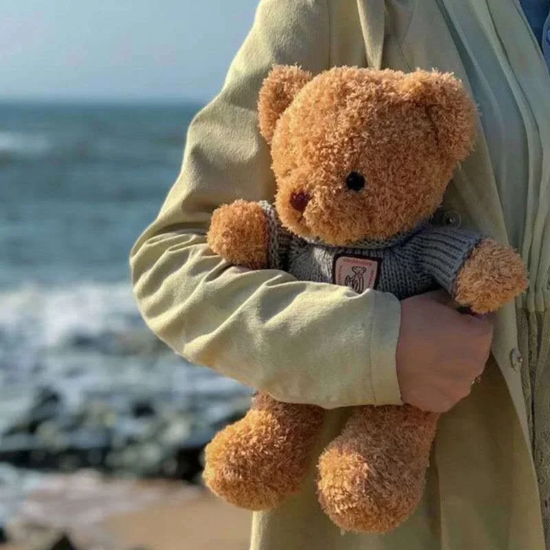 Cute bear dress up doll,40cm Bear Plush Toy , the Best Gift for Kids,Good Guy ,Stuffed Animal Brithday Gift 6