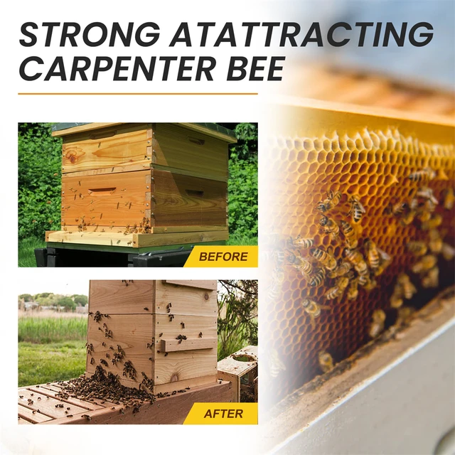 Bee Csali Vonzerő Természetes Alapanyagok Vonzza A Capenter Beestraps Méhcsalót 30 Ml Mézes Szerszám Kertészeti Kellékek - Image 5