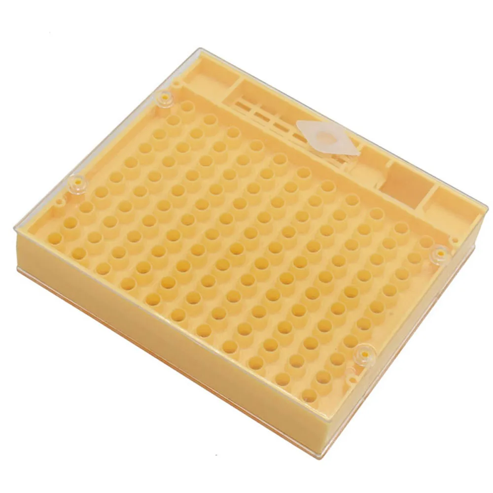 1 Pcs Beekeeping Equipment Tools Rearing Queen Bee Plastic Box Cage For Professional Beekeeper Apiculture Supplier