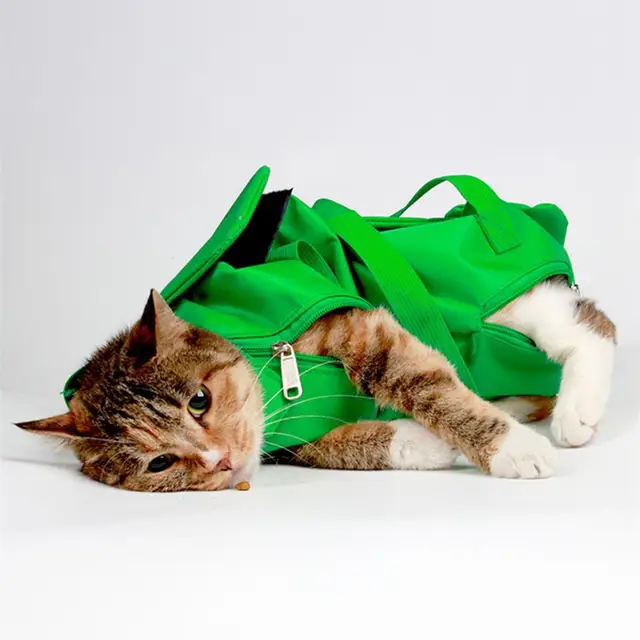 Multifunctional Breathable Cat Carrier Bag Portable Double Shoulder Anti-Scratch Bite Fixed Foldable Injection Pet Bag Multifunctional Breathable Cat Carrier Bag Portable Double Shoulder Anti-Scratch Bite Fixed Foldable Injection Pet Bag