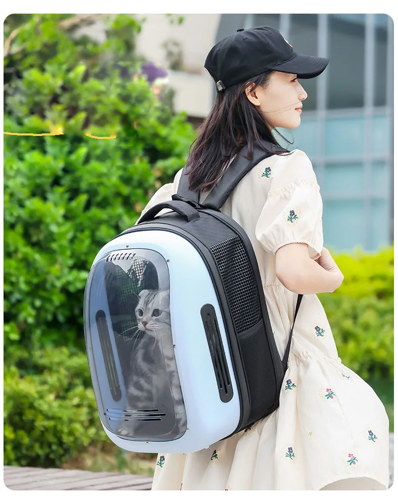 Transparent Transport Carrying Dog Cat Travel Bag