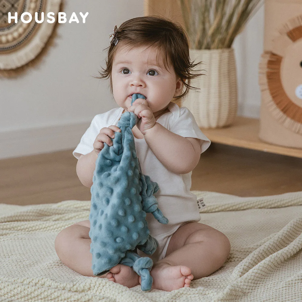 Baby Blanket For Newborn Appease Towel 1Pc Security Blanket Winter Doudou Velvet Soft Infant Facecloth Can Hanging Soother 3