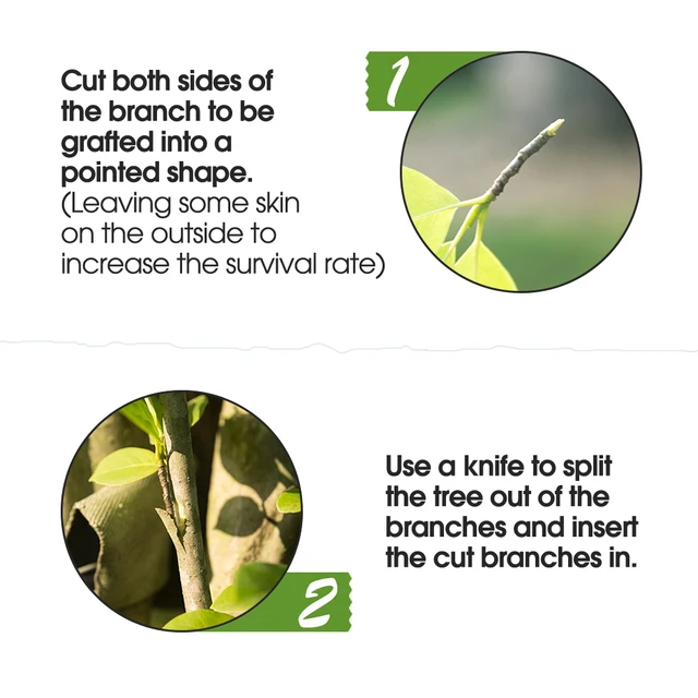 Zöld Oltó Szalag Vízálló, Lágy Rugalmas, Önálló, Adhéziós Kerti Növények Javítják A Filmeket, Amelyek Alkalmas Virágfákra - Image 4