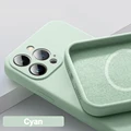 Cyan
