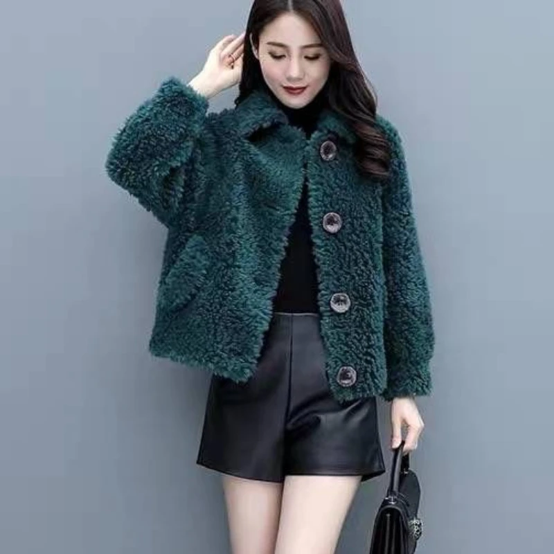 Women's Faux Fur Coat, Loose Lamb Wool, Short Parkas, Casual Outwear, Thick, Warm, Monochromatic, Fashion, Winter, New, 2024