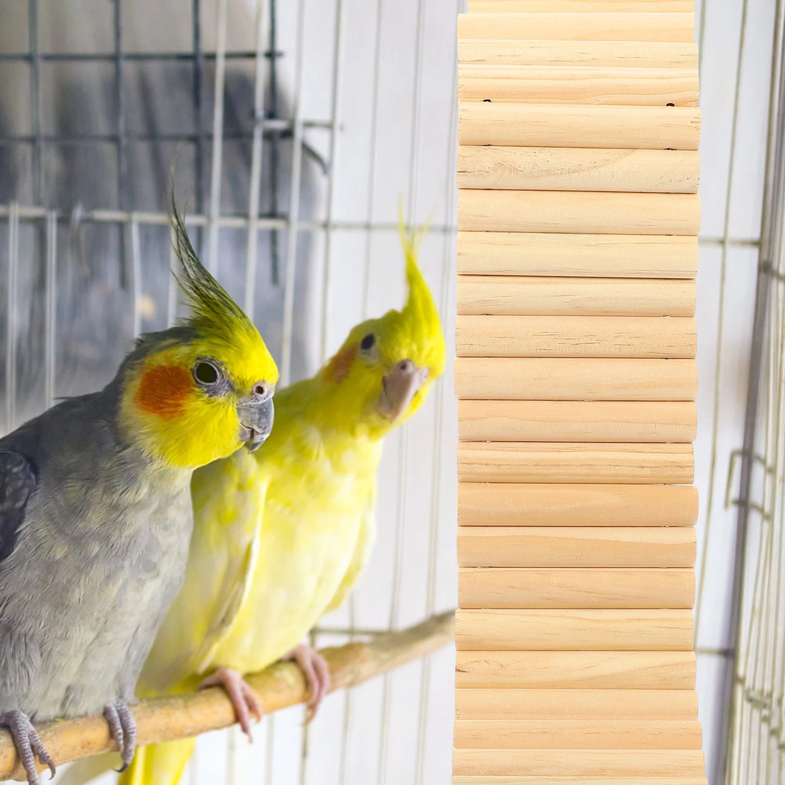 Small Pet Ladder Cage Accessory 5