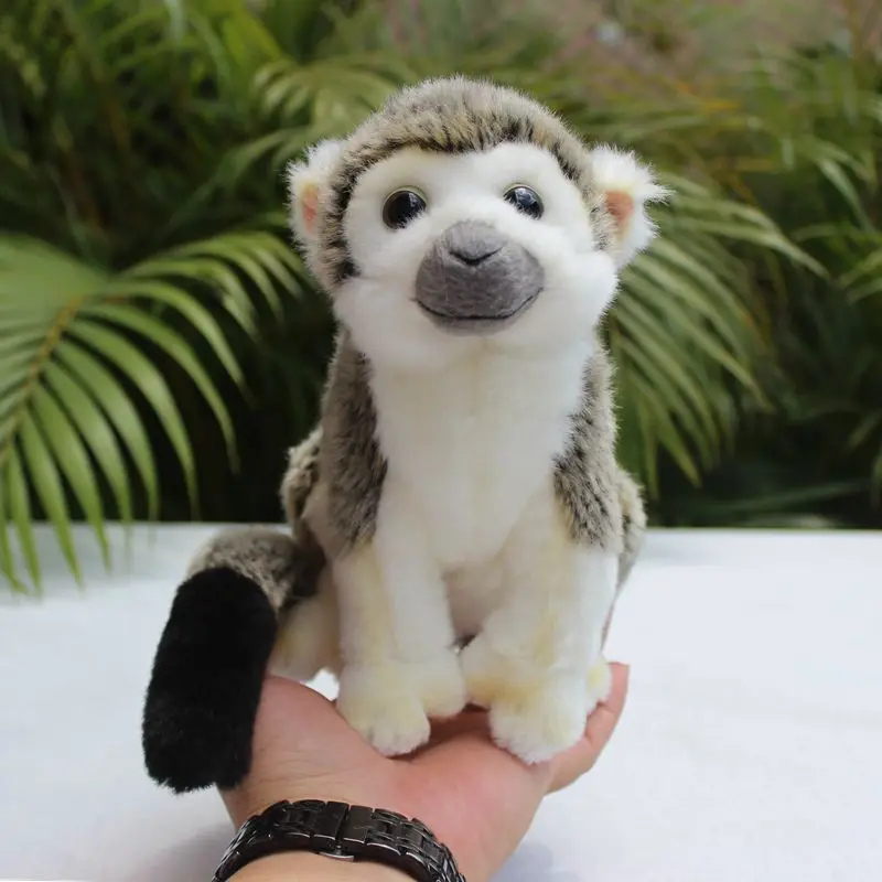 

Реалистичная белка, обезьянка, высокая точность, милая плюшевая обезьянка, плюшевые игрушки, реалистичные животные, имитация, мягкая кукла, игрушка для детей