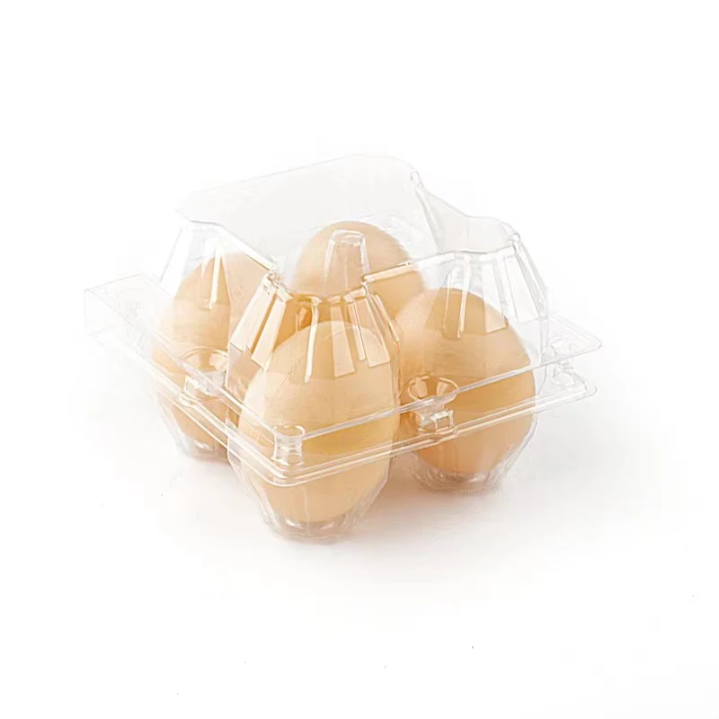 10PCS/Pack Empty Transparent Disposable Plastic Egg Packaging Box With 4/6/8/10/12 Holes DIY Home Decor