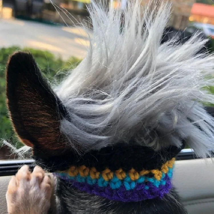 Novelty Hand-crocheted Explosive Head Modeling Halloween Cute Pet Personality Dress Headdress
