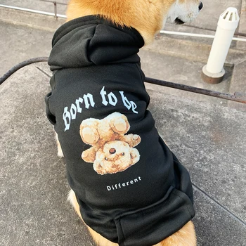 Sweat à capuche pour chiens Born to be Different - 2025 - Doglovedesign : Vêtement et accessoires pour chiens