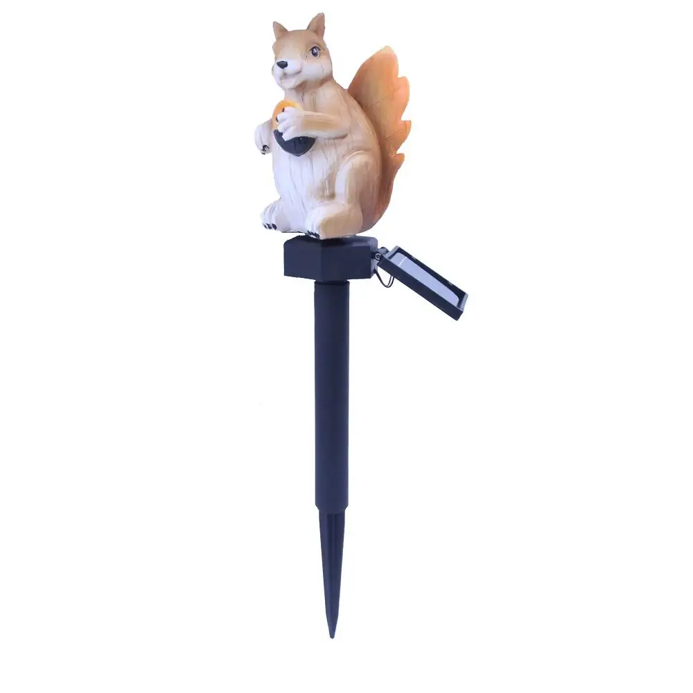 squirrel