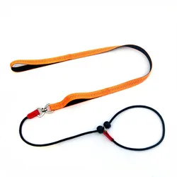 Durable P - Shaped Slip Lead Choke Rope Leash for Dogs - 2 - in - 1 Training and Control (150cm) (Orange)