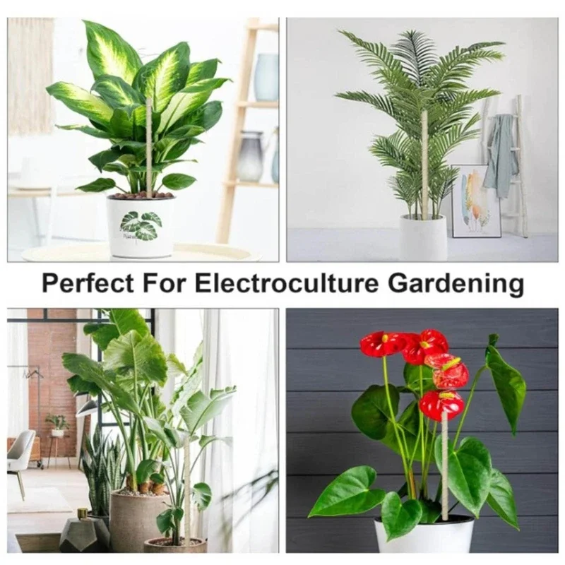 Fibonaccis Coil Winding Jig Electroculture Gardening Wire Antenna Jig Gardening Growing Plant Vegetables