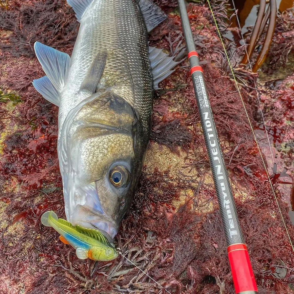 Leurre suspending Rapala down deep husky jerk - doré/multicolore - 10 cm - Sport
