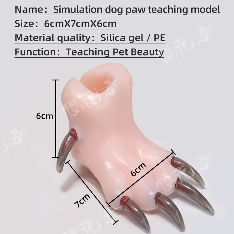 Silicone Simulation Dog Paw Teaching Model Pet Beauty School Practice Cutting Dog Nails