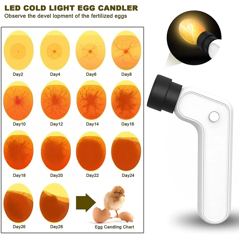 Egg Candler Tester Rechargeable Wireless Cool Light Incubator Candling Lamp  With Two Soft Head Fit For All Eggs Type - Feeding & Watering Supplies -  AliExpress