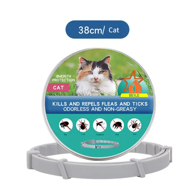 38cm-cat-box