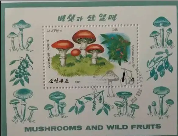 Asian  souvenir sheet stamp original real collection