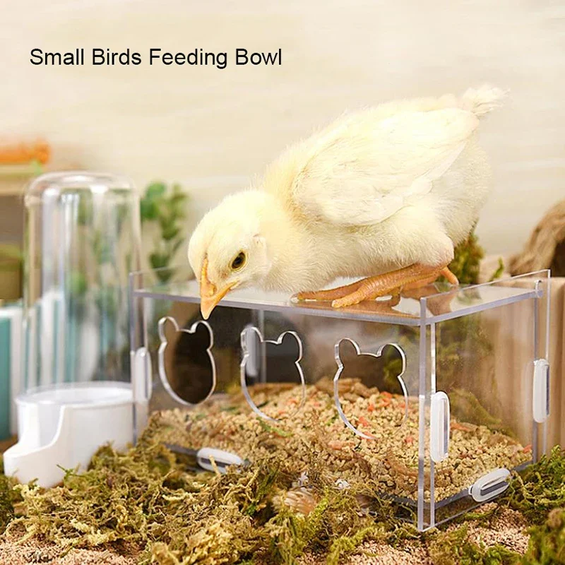 Acrylic Pet Birds Feeder Cage Bowl Fruit Vegetable Container Feeding Cup Cuttlebone Stand Holder Pet Cage Accessories Products
