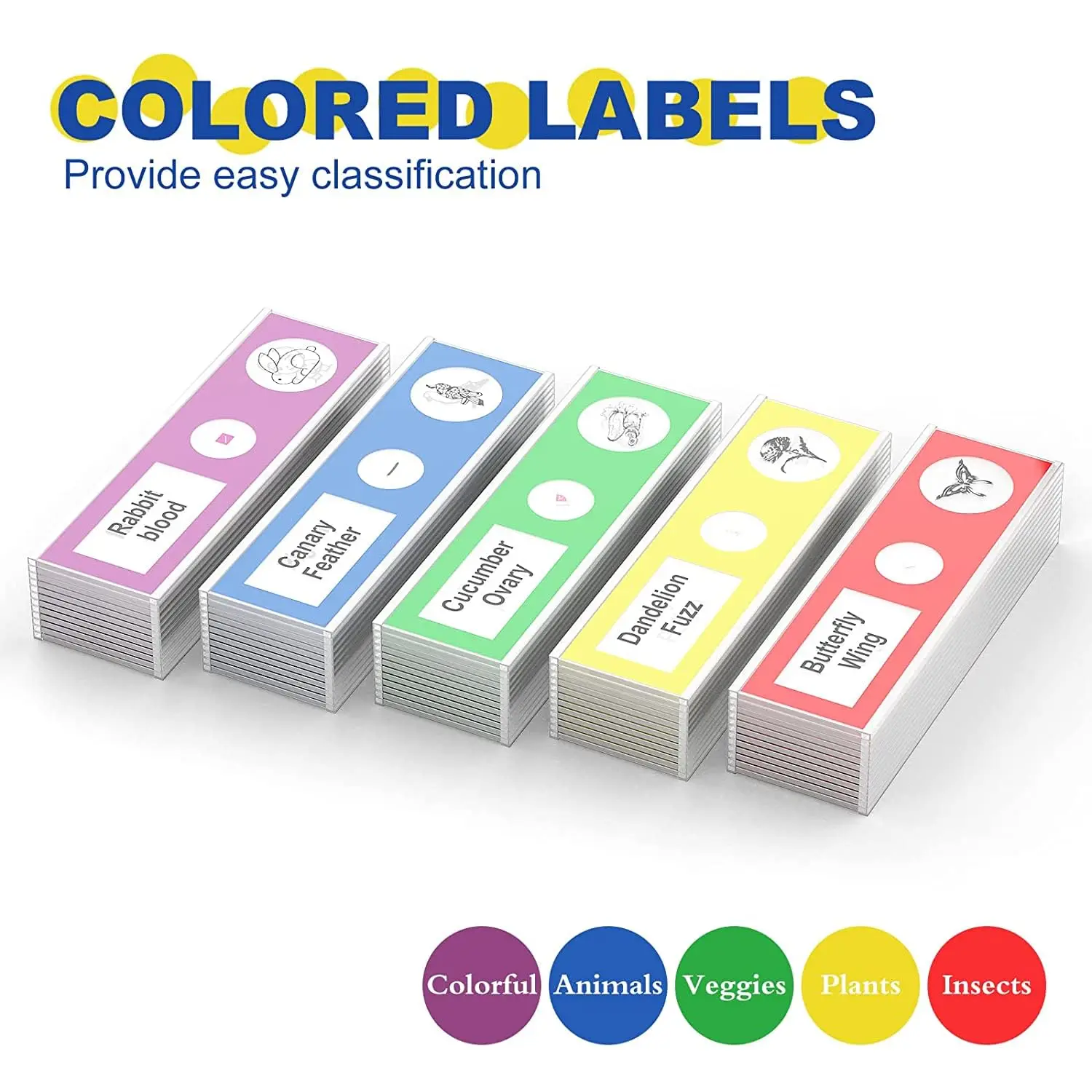12 Pcs Kids Prepared Microscope Slides With Specimens Microbiology Biological Sample For Student School Science Lab Supplies