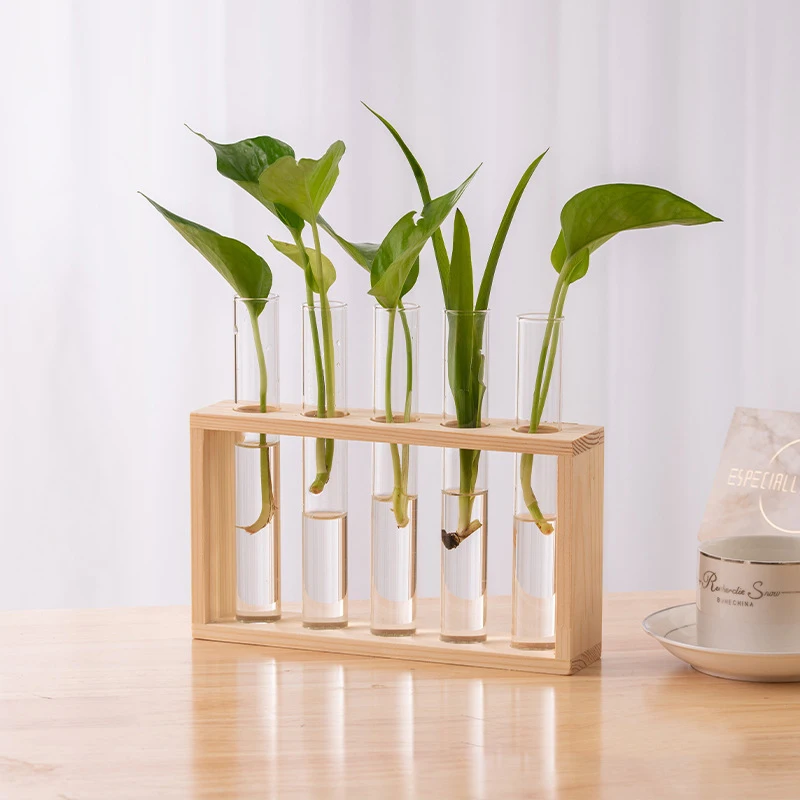 Description Picture 6 of itemHydroponic Plants Container with Wood Frame, Clear Glass Test Tube Vase for Living Rooms Office Delicate Decor