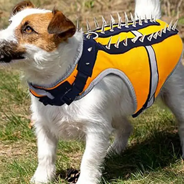 Net Worth Spiked Dog Vest For Outdoor Protection, Anti-Coyote Dog