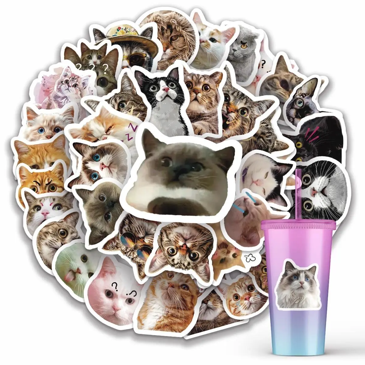 

10/50pcs Cute Funny Cat Meme Cartoon Stickers DIY Scrapbooking Laptop Bike Phone Waterproof Kawaii Decoration Decals Toys Gifts
