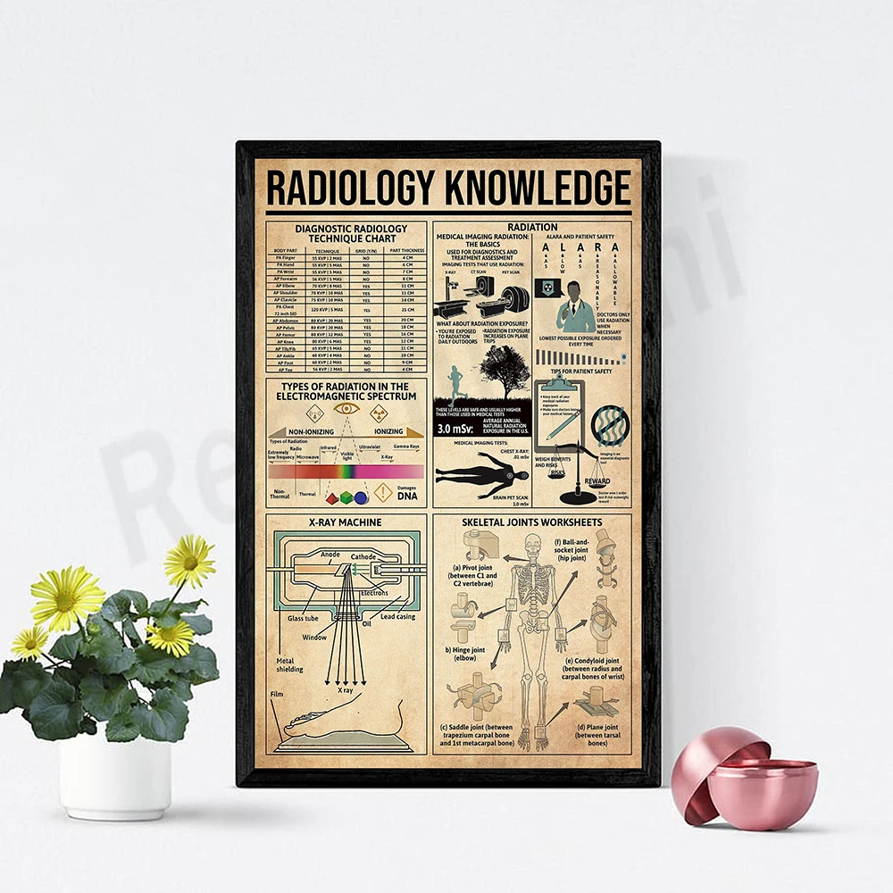 

Radiology knowledge posters, radiological diagnostic technology diagrams, radiographer gifts, radiology department decorations