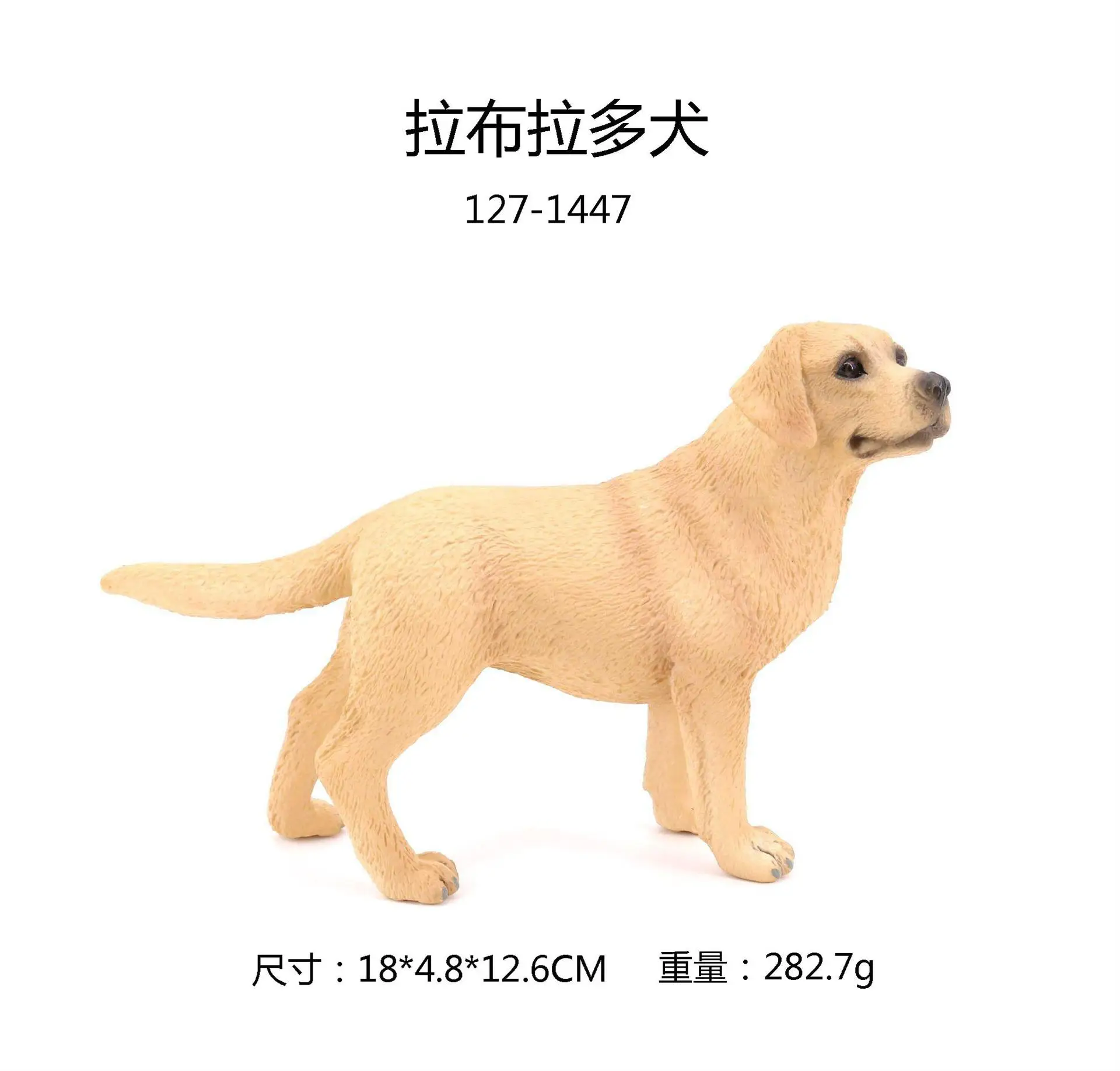 Meet Bjorn: A Miniature Golden Retriever | TikTok, image size:1920x1836