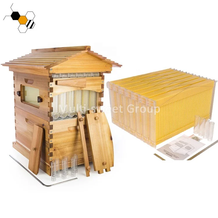 Auto Flowing Beehive Honey Box Bee Hive Automatic Honeybee Hive With 7Pcs Flowing Frames Starter Kit