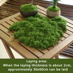 Artificial Moss Turf for Home Decor - Lifelike Micro Landscape Ornament for Bonsai and Lawn Display (Green - B)