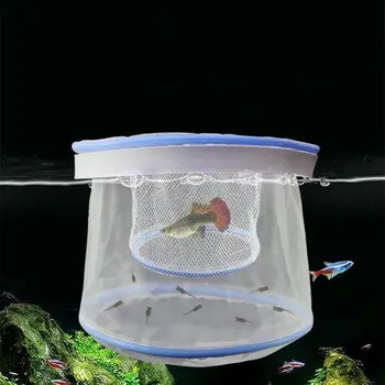 Floating Guppy Breeding Net 1