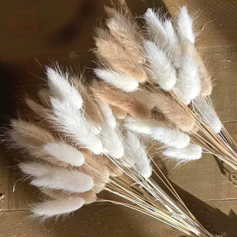 60 pezzi soffici code di coniglio coniglietto erba bouquet decorazioni 60 pezzi soffici code di coniglio coniglietto erba bouquet decorazioni