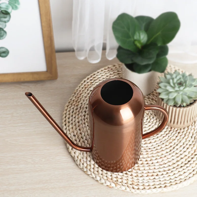 Stainless Steel Watering Pot Gardening Potted Small Watering Can Use Handle Perfect For Flower Plants Shower For Garden