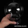 Glass Terrarium With Dome Ecological Bottle For Micro Landscaping Container Bell Jar Vases Home Decor Glass Plants Terrarium 6