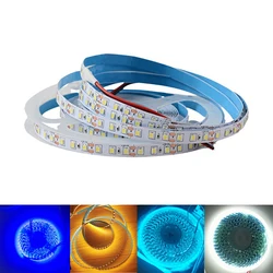 5M LED Strip Light 12V Bright LED Lamp Strip 2835 LED Diode Tape for River Table 120leds/m flexible And Cuttable Soft Lamp Bar