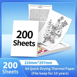 High-Quality A4 Quick-Dry Continuous Thermal Paper for Document Printing and Study Notes, Available in Packs of 2/3/4 Rolls (200 Fold paper)