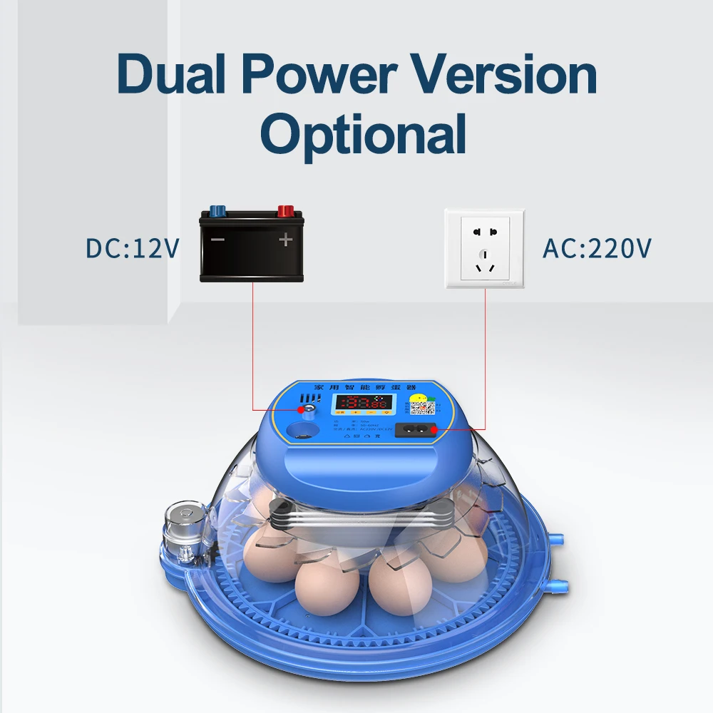 Egg Incubator 8 Egg Automatic Incubator for Eggs Brooder Chicken Duck Quail Birds Electric Incubation 12V 110V 220V