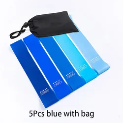 Resistance Bands Set - Fitness & Strength Training Elastic Loops (5Pcs blue with bag)