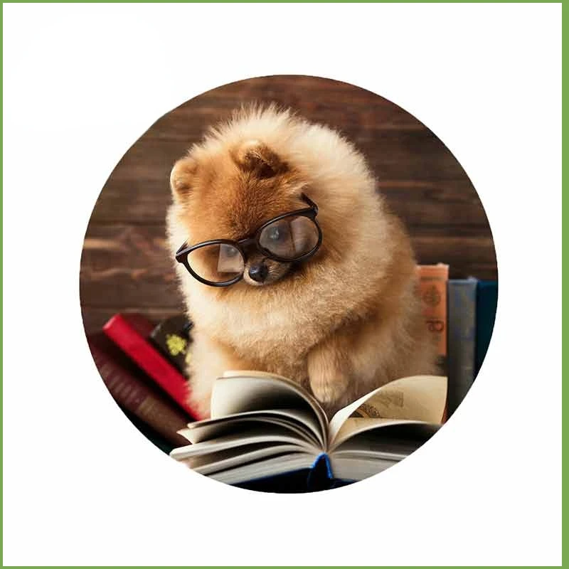 13Cm 1 Pz Per Pomeranian Dog Reading Book Creative Car Sticker Fai Da Te Anime Fashion Occlusione Scratch Van Suv Decalcomanie