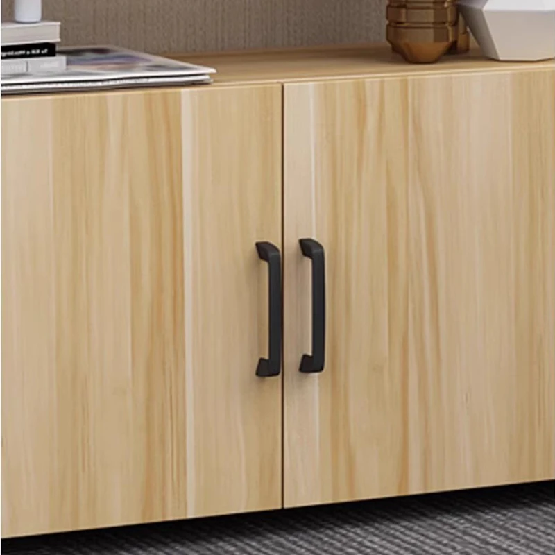 Magazine Rack with Door Literature Display Shelf Floor Standing Office Storage Organizer Bookshelf Office Furniture Estante FYMR