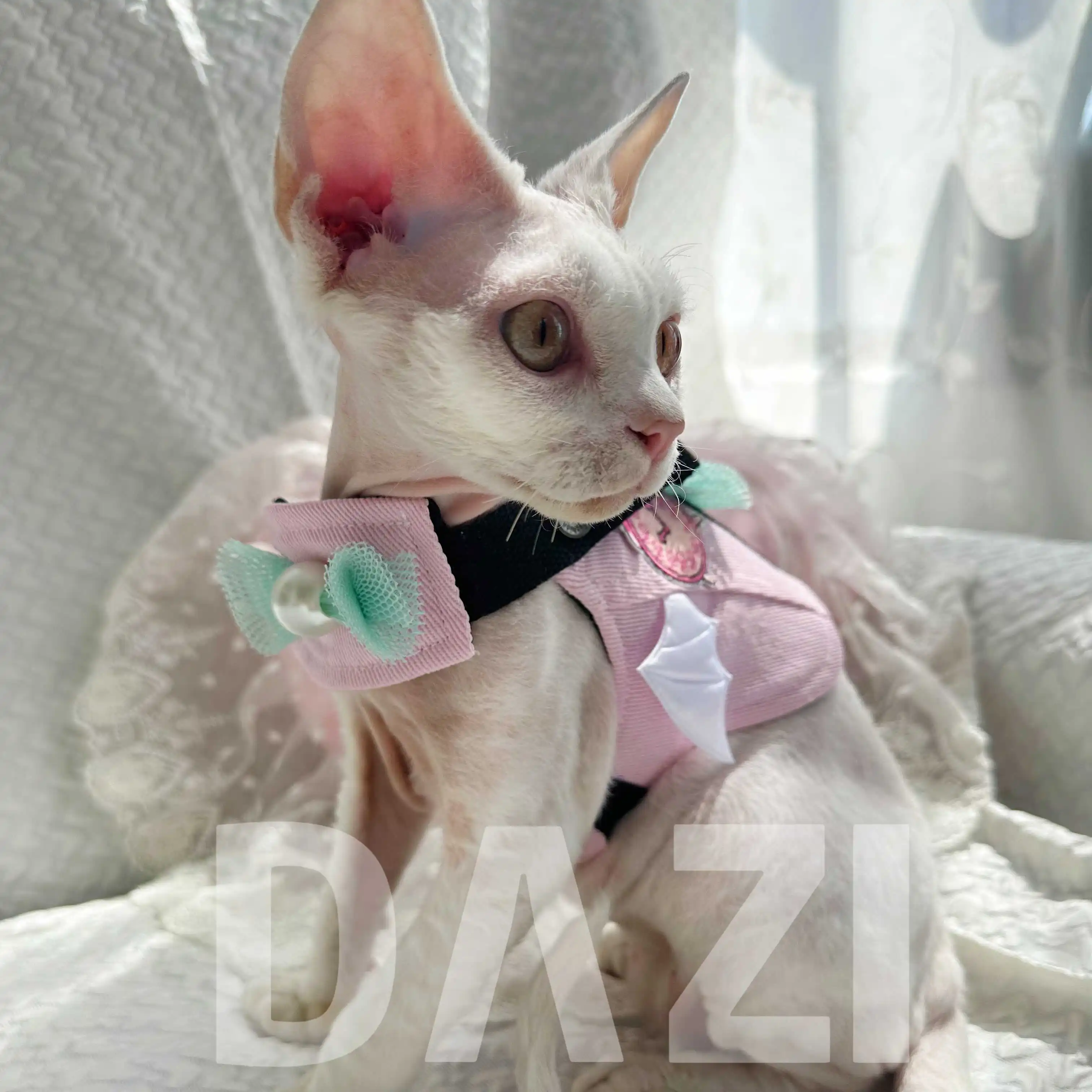 귀여운 Bowknot 스핑크스 하네스 가죽 끈 세트 핑크 고양이 하네스 가죽 끈 Kawaii 하네스 조끼 Devon Kittens 야외 산책